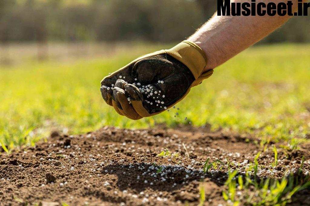 زمان مناسب اضافه کردن نیتروژن به خاک