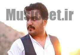 دانلود آهنگ حسین زرینجویی دل