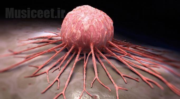 تأثیر امگا-3 بر سلامتی در سنین مختلف 2